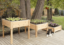 cleanairgardening_2073_9922248 3 raised beds cleanairgardening_2073_9922248 3 raised beds