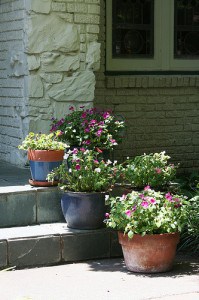 containers 2 front door flickr cleanairgardening