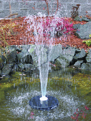 cleanairgardening_2073_15752819 water garden