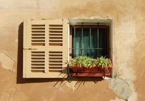 Window Garden