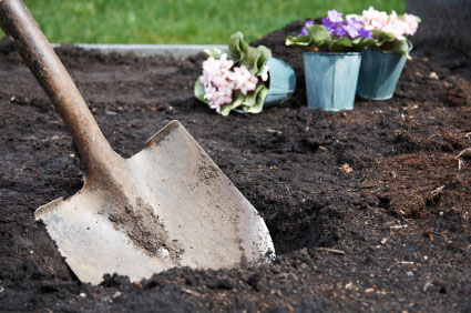 shovel-soil.jpg