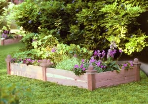 Raised Bed Garden