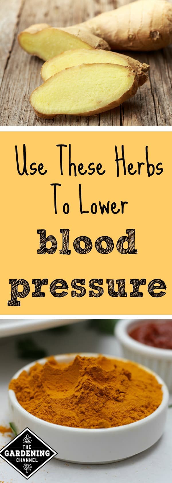 herbs-to-lower-blood-pressure