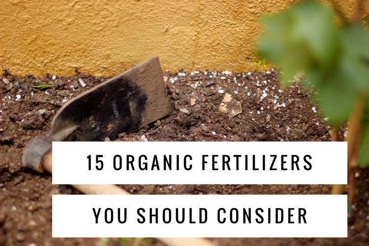 15 Of The Best Common Organic Fertilizers Gardening Channel