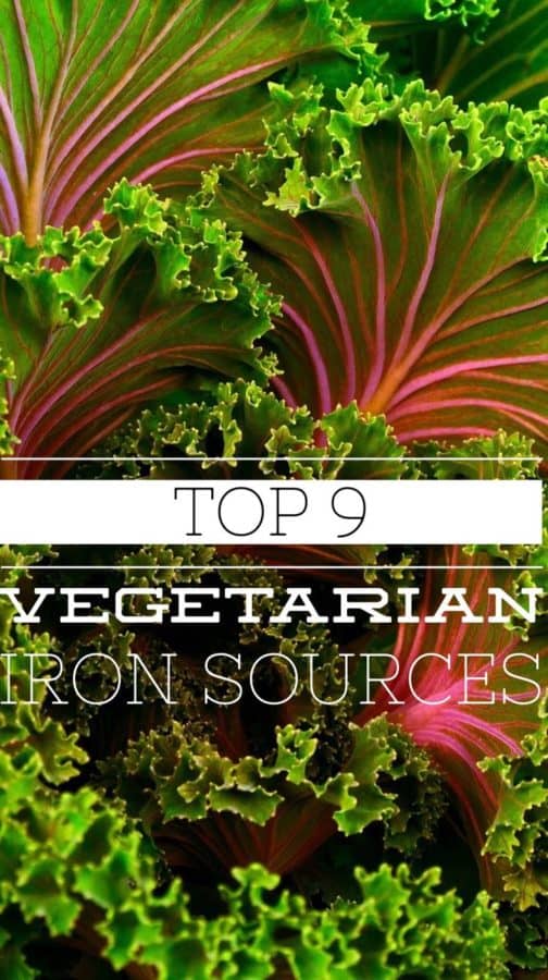 9 Great Vegetable and other Plant Based Sources of Iron