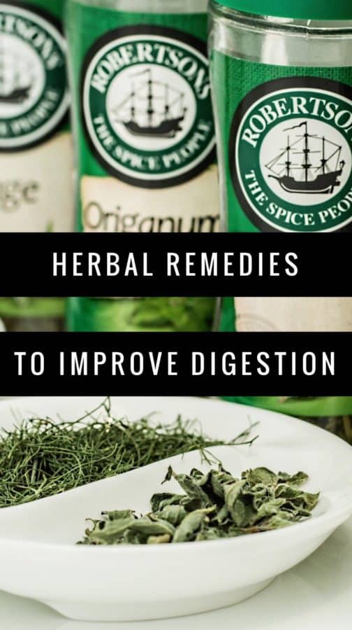 10 Herbs To Improve Gut Health And Digestion 