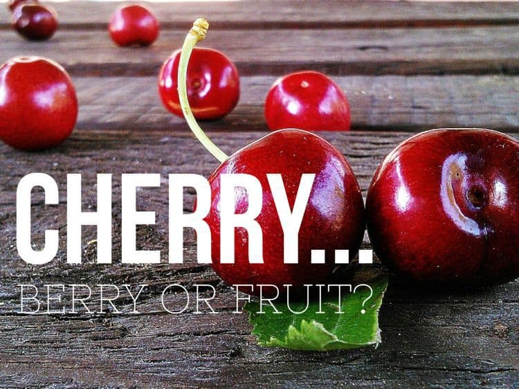 Cherry Vs. Berry- What Are the Significant Differences?