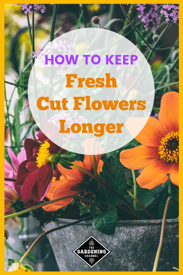 How to Keep Cut Flowers Fresh - 15 Tips for Making Cut Flowers Last