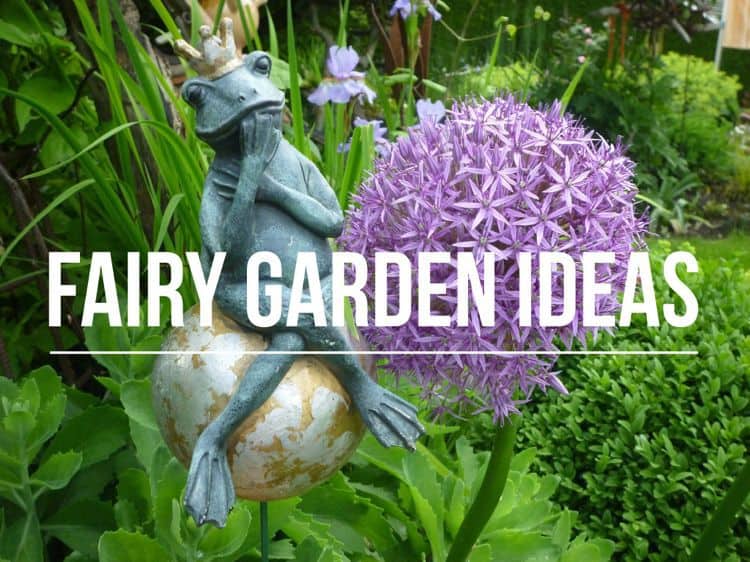 How To Make A Fairy Garden Gardening Channel