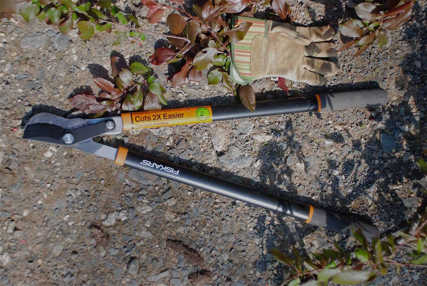 Review: Fiskars Power Lever 28 Inch Bypass Loppers - Gardening Channel