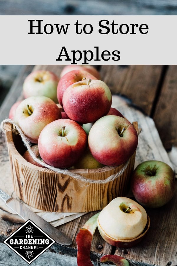 How to Store Apples: 2 Ways to Store Fresh Apples - 2024 - MasterClass