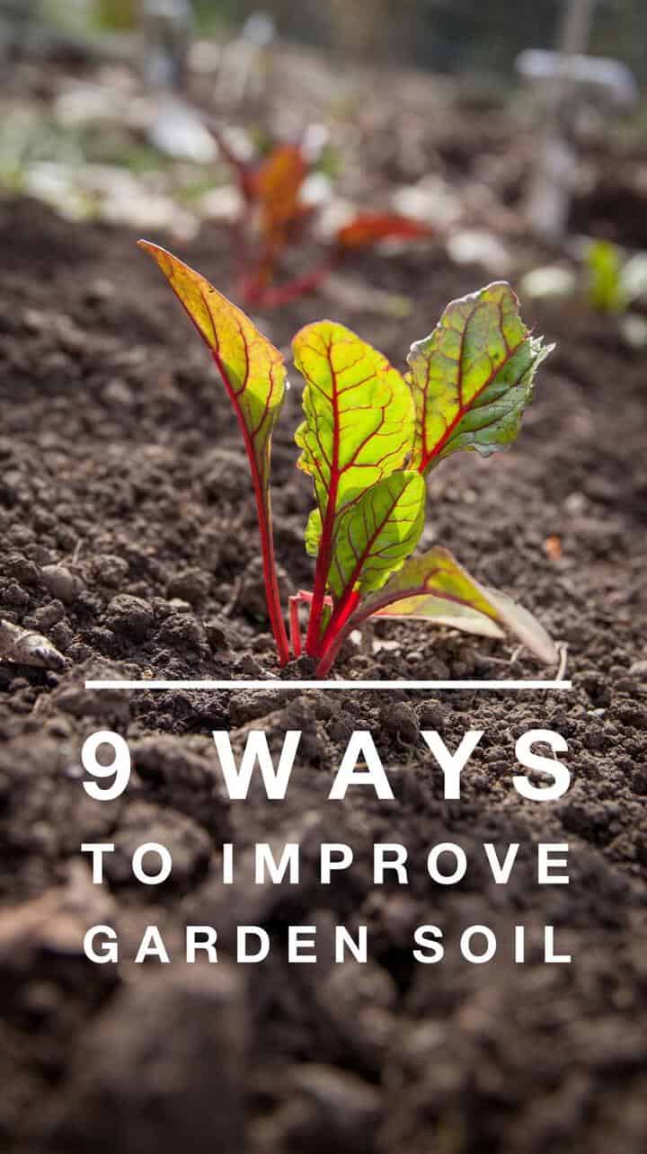 Importance of Soil Quality - Gardening Channel