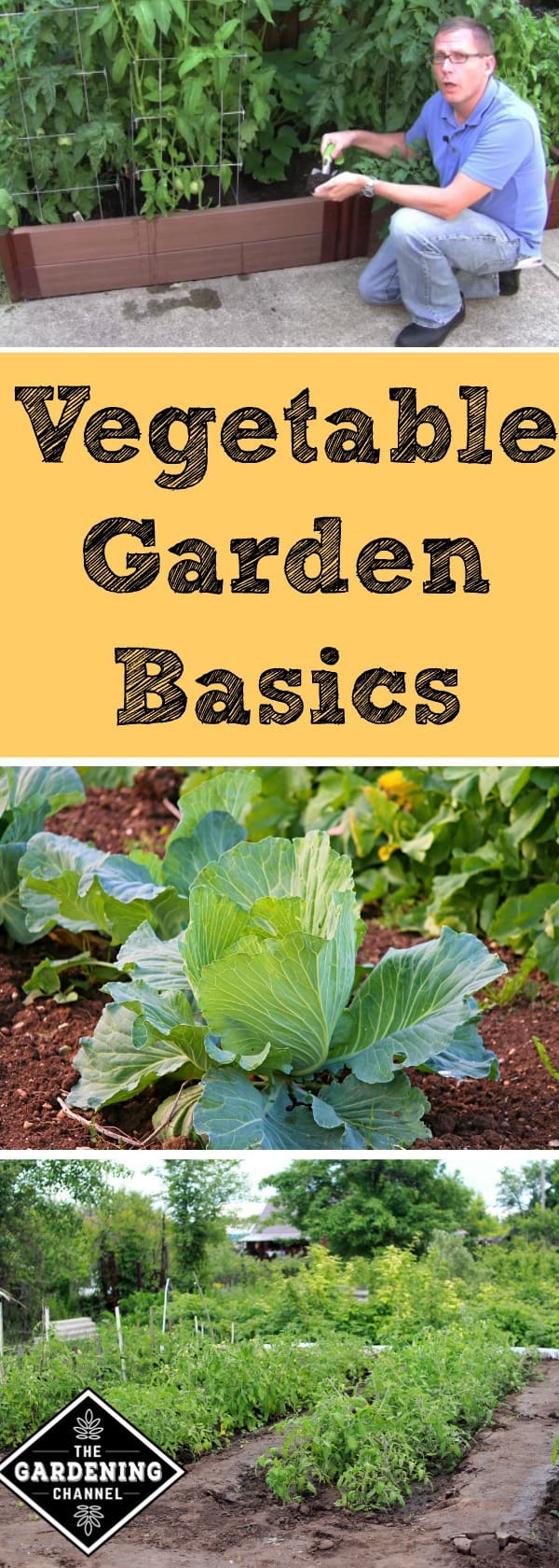 Vegetable Gardening Basics - Gardening Channel