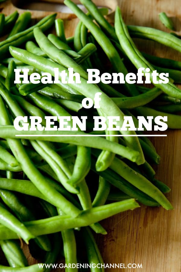 Health Benefits Of Green Beans - Gardening Channel