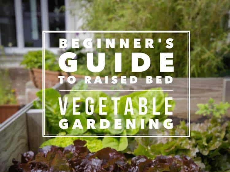 Raised Bed Gardening: The Ultimate Guide - Gardening Channel