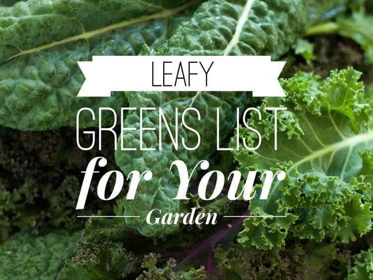 name of green leafy vegetables