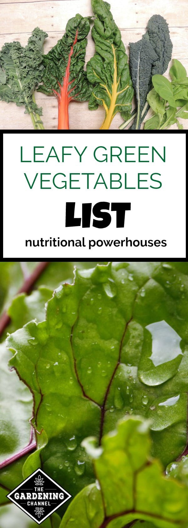 List Of Green Leafy Vegetables - Gardening Channel