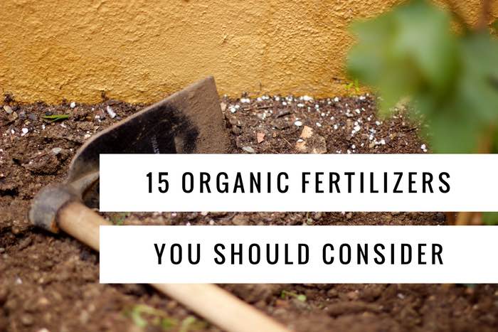 Our List Of The Best 15 Common Organic Fertilizers - Gardening Channel