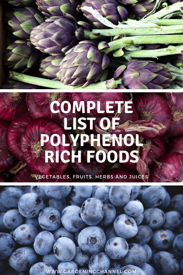 List of polyphenol rich vegetables, fruits, herbs and juices