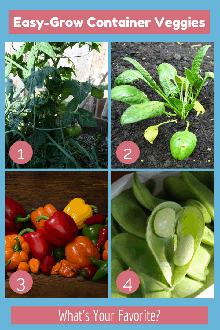 4 Vegetables You Can Easily Grow In A Container