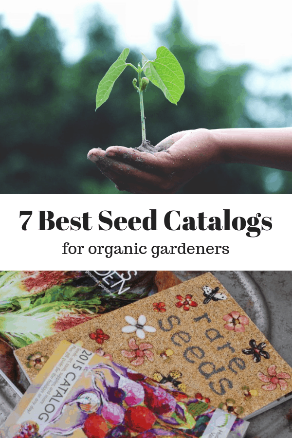 Best Seed Companies For Organic Gardeners 2020 - Gardening Channel