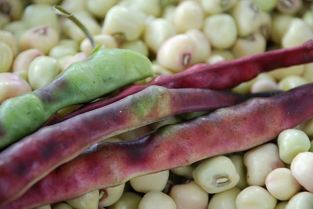 Guide To Growing Southern (Field) Peas