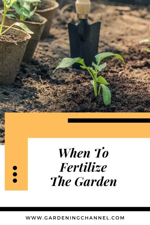 When Should I Fertilize My Garden? - Gardening Channel