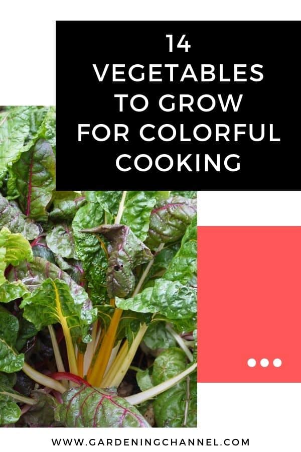 14 Vegetables To Grow For Colorful Cooking - Gardening Channel