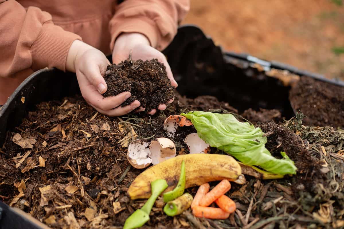 How To Improve Soil Drainage In Your Garden - Gardening Channel