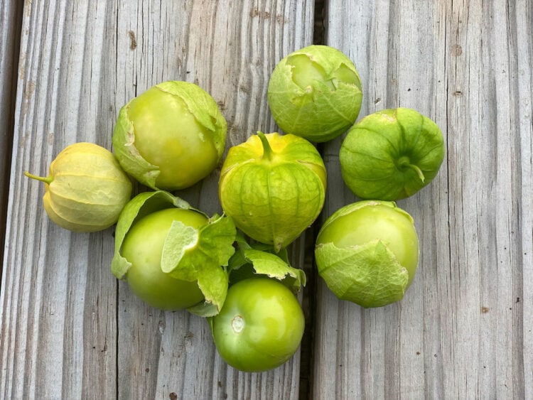 How to Grow Tomatillos in a Container Gardening Channel